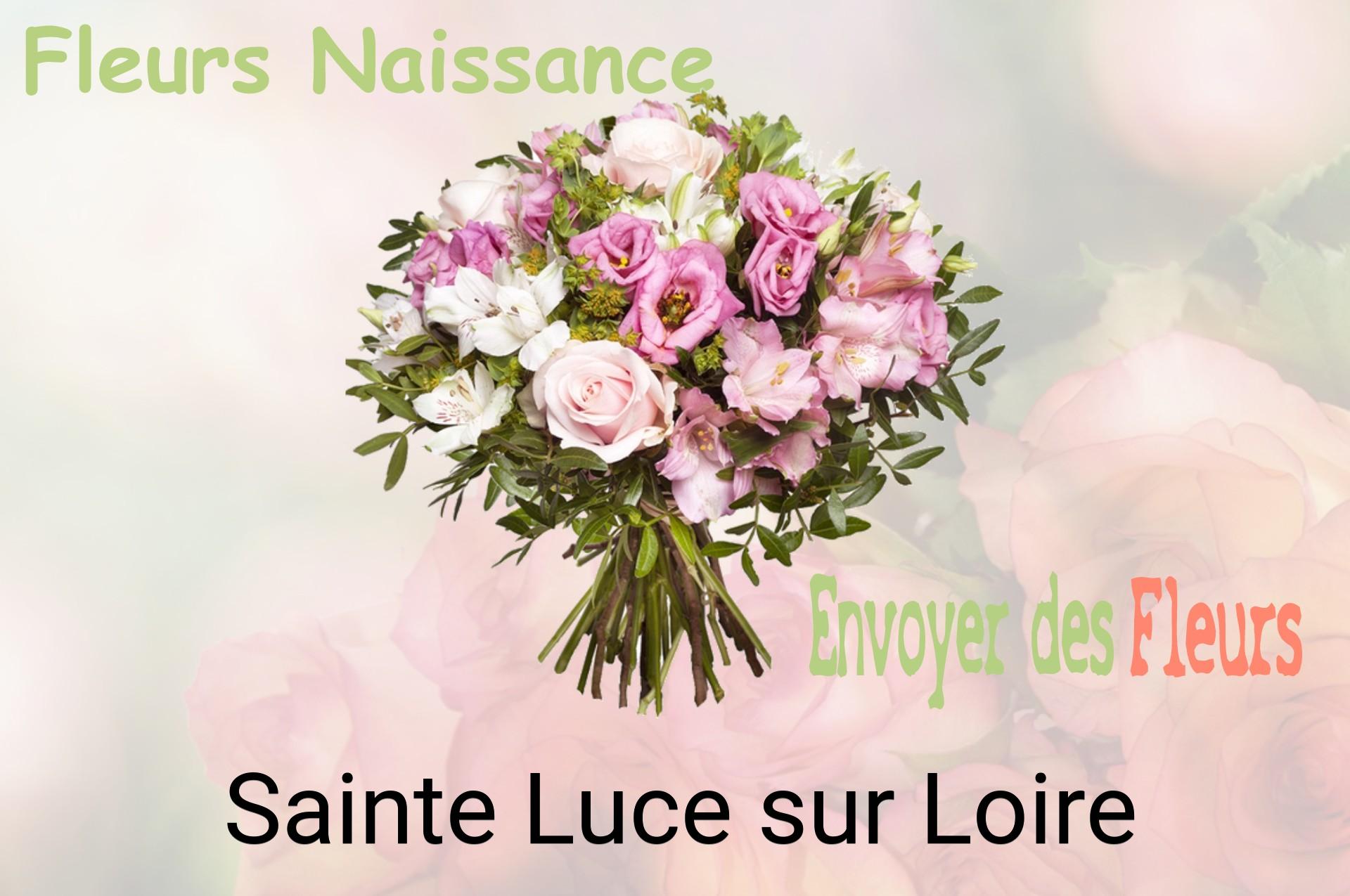Bouquet de fleurs de naissance livré à Sainte-Luce-sur-Loire